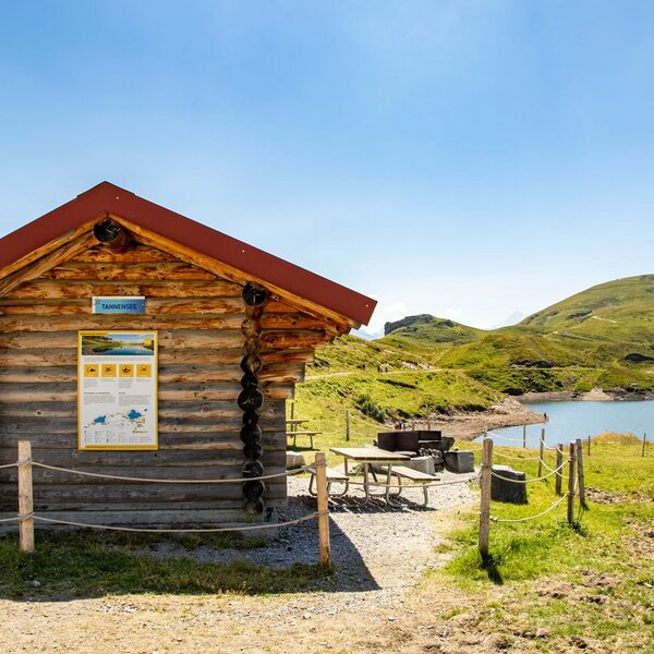 22 SMF Feuerstelle Tannensee ym 1 bearbeitet web jpg