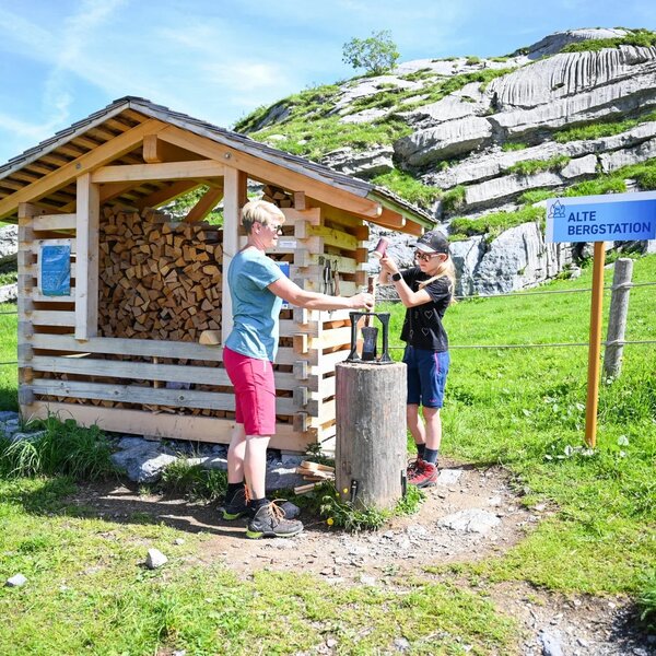 DSC 0008 2048x1363 jpg