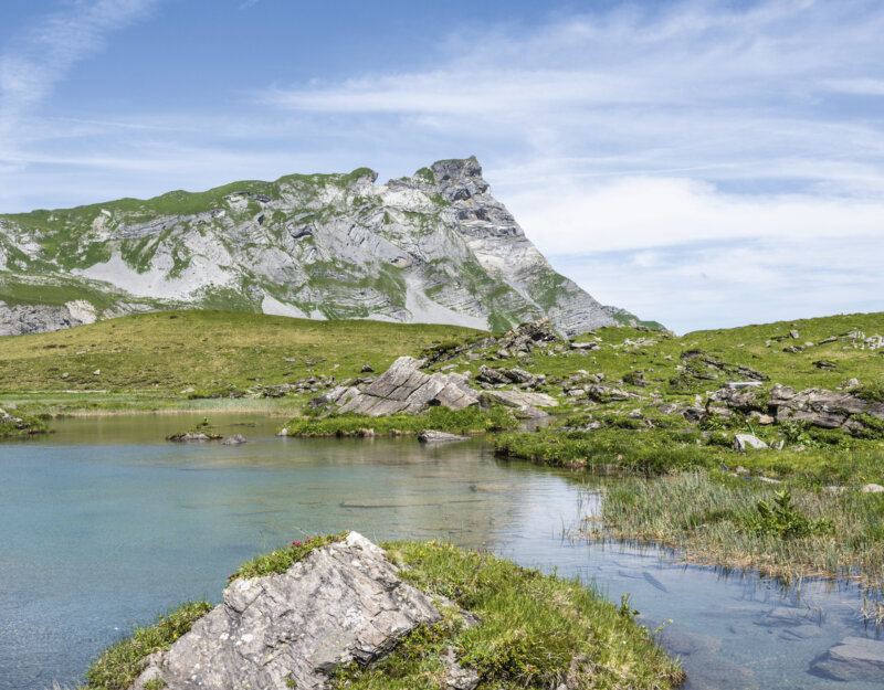 Frutt Erleben Sommer Hero