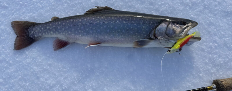 Frutt Entdecken Winter Eisfischenangebot Hero