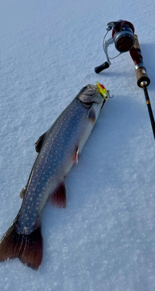 Frutt Entdecken Winter Eisfischenregeln Intro