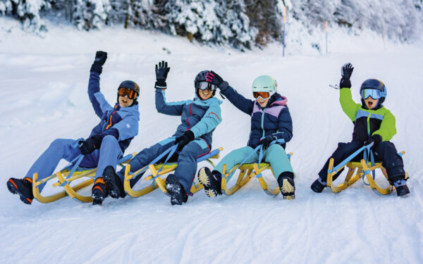 Frutt Entdecken Winter Schlitteln Content