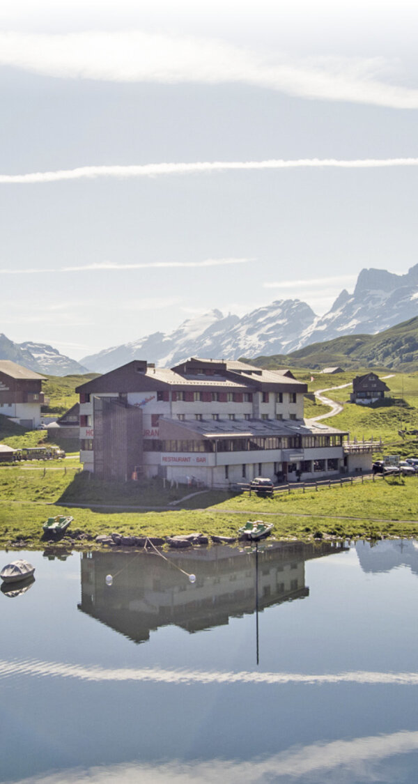 Frutt Essen Schlafen Sommer Distelboden