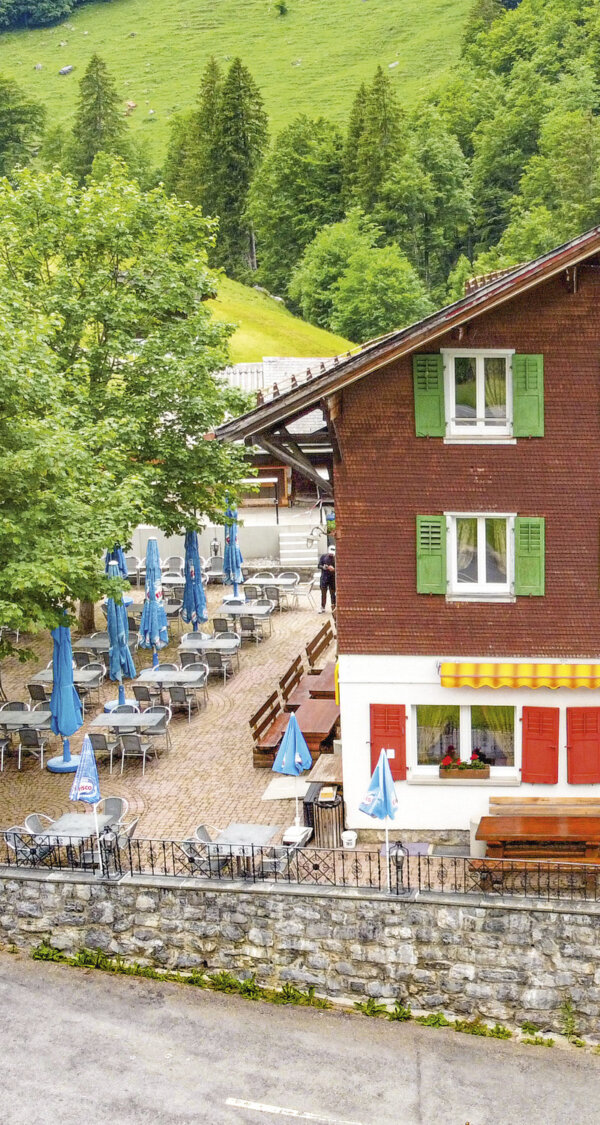 Frutt Essen Schlafen Sommer Waldhaus