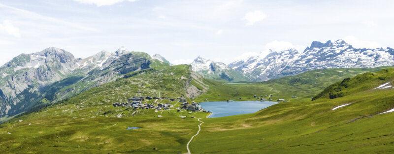 Frutt Essen Schlafen Sommer Footer