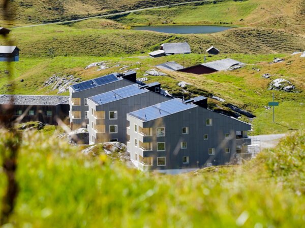 Frutt Essen Schlafen Themen Dryyerli