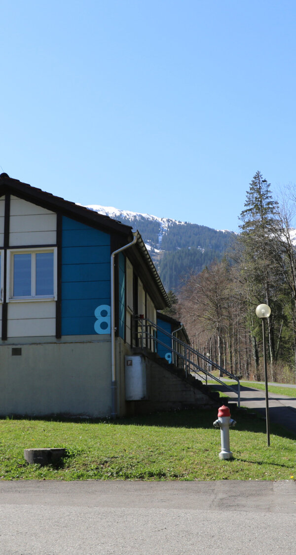 Frutt Essen Schlafen Winter Bocky Bar