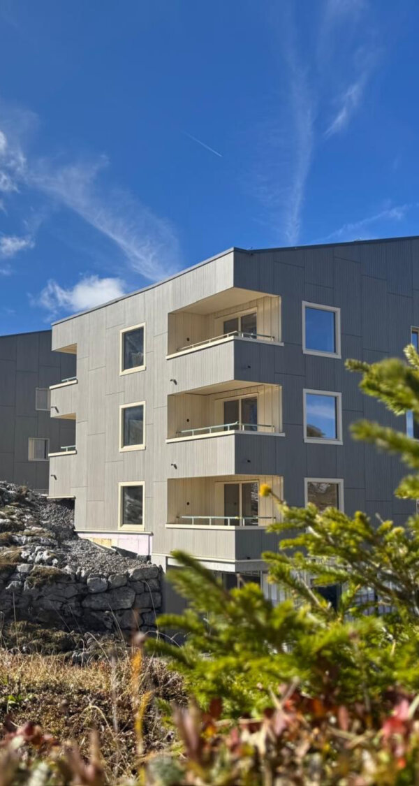 Frutt Essen Schlafen Winter Dryyerli