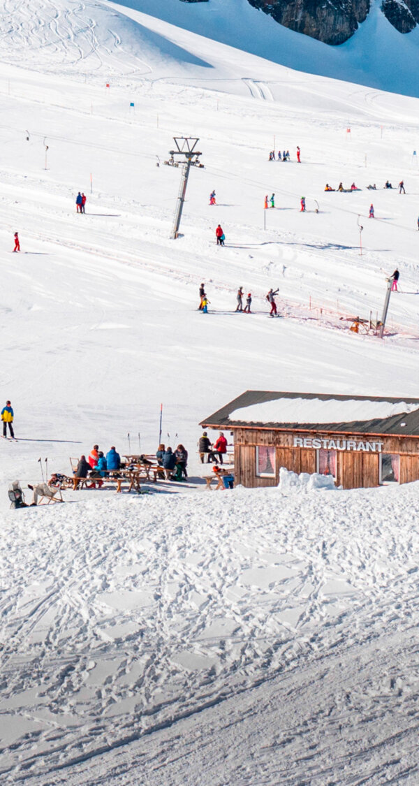 Frutt Essen Schlafen Winter Fuchs und Hasenbeiz