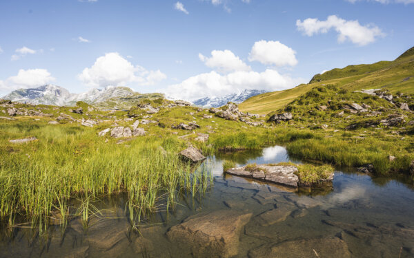 Frutt Events 2026 Start Sommersaison