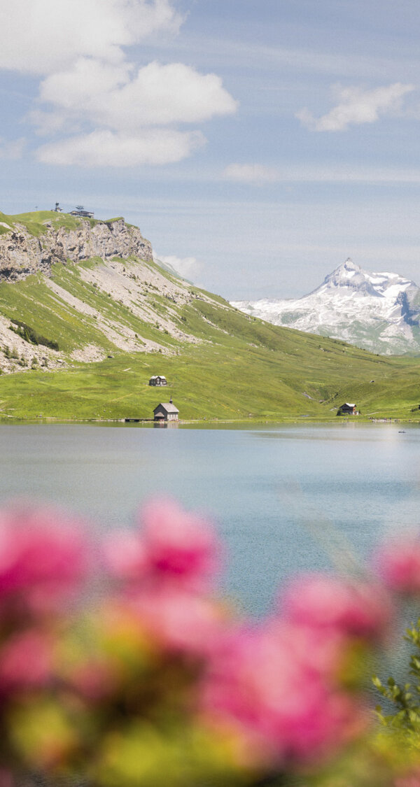 Frutt Informieren Sommer Gästeinformation Intro