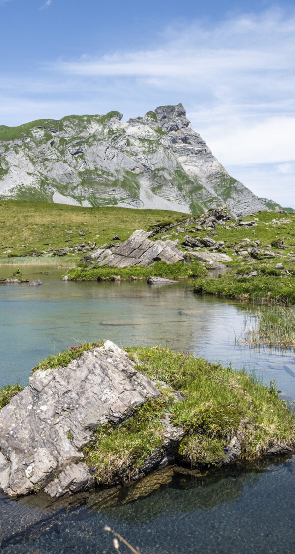 Frutt Informieren Sommer Medienanfragen Intro