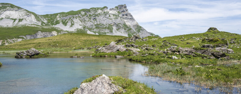 Frutt Informieren Sommer Medienanfragen Hero