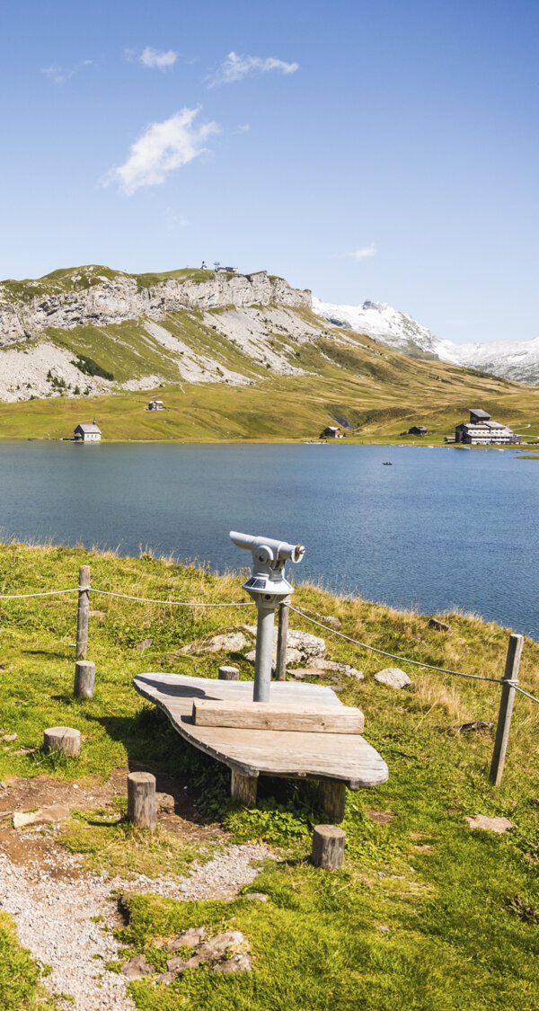 Frutt Informieren Sommer Offene Stellen Intro