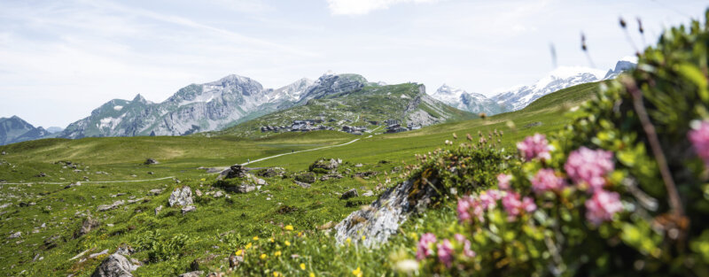 Frutt Informieren Sommer Offene Stellen Footer