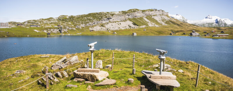 Frutt Informieren Sommer Offene Stellen Hero