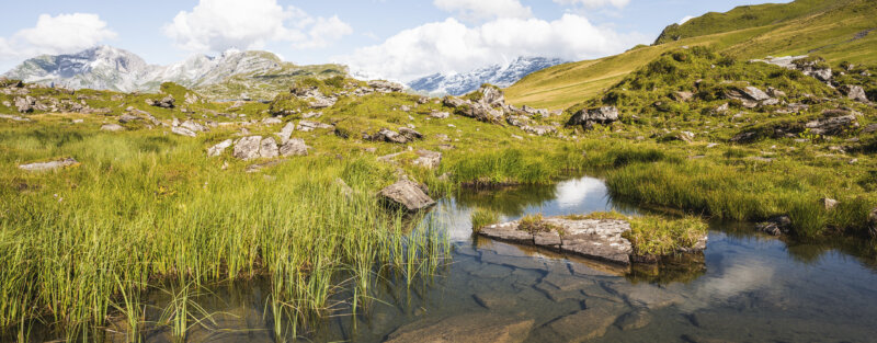 Frutt Informieren Sommer Recycling Stelle Footer