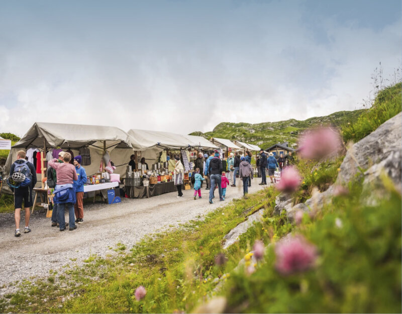 Frutt Informieren Sommer Events Hero