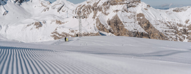 Frutt Informieren Winter Offene Stellen Hero