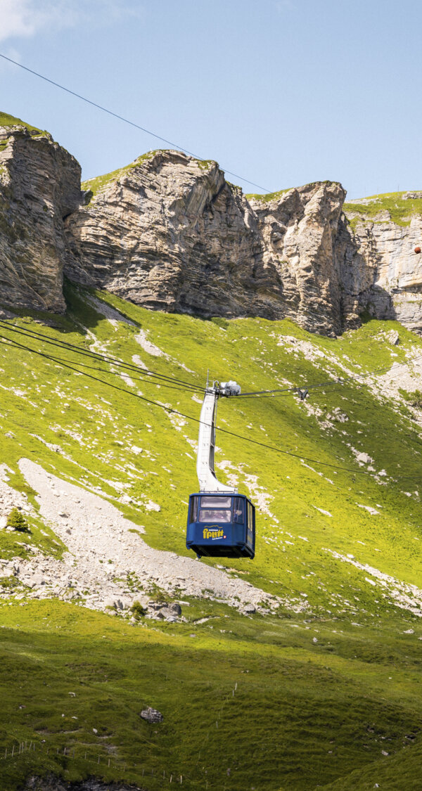 Frutt Planen Buchen Sommer Einzel Retourfahrten Intro
