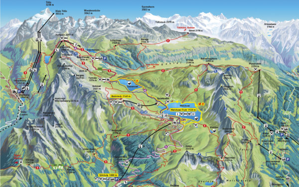 Frutt Planen Buchen Sommer Bereiche Content