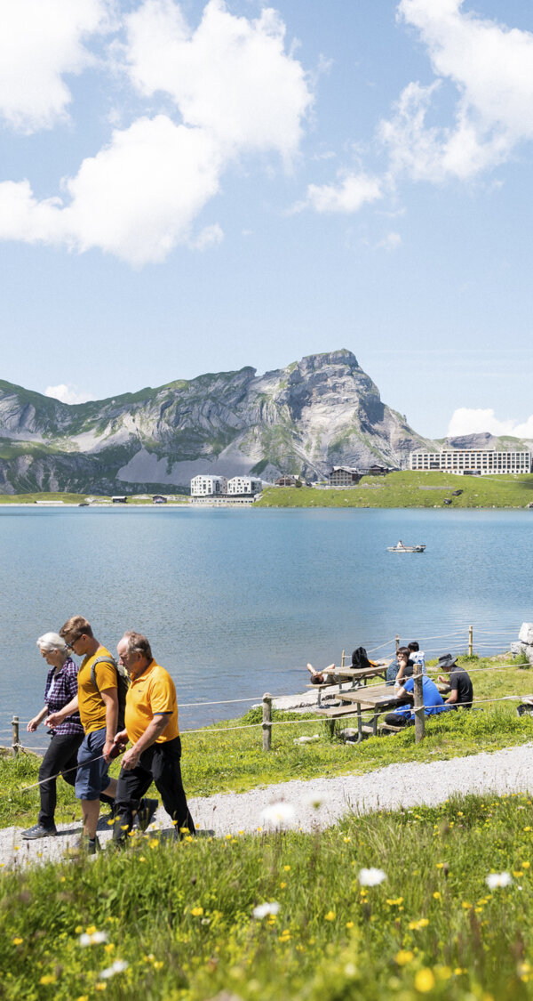 Frutt Planen Buchen Sommer Gruppenpreise Intro