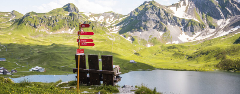 Frutt Planen Buchen Sommer Railaway Kombi Footer