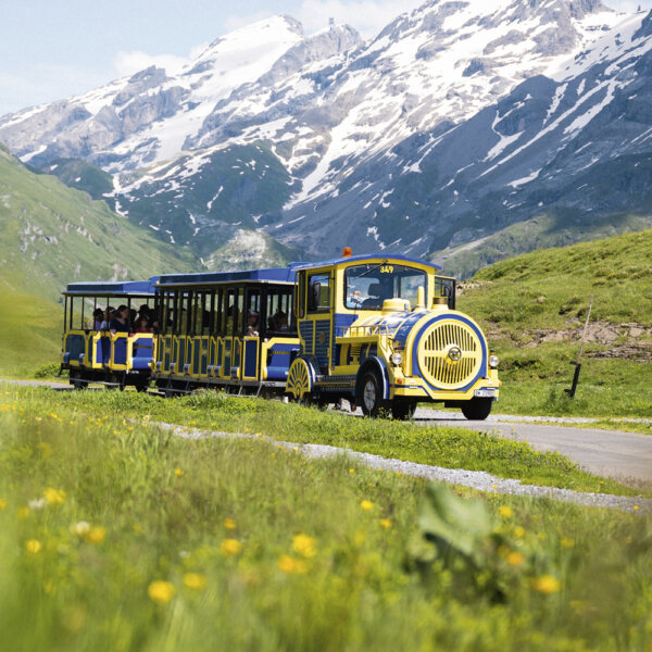 Frutt Planen Buchen Sommer Saisonkarte Fruttzug Hero
