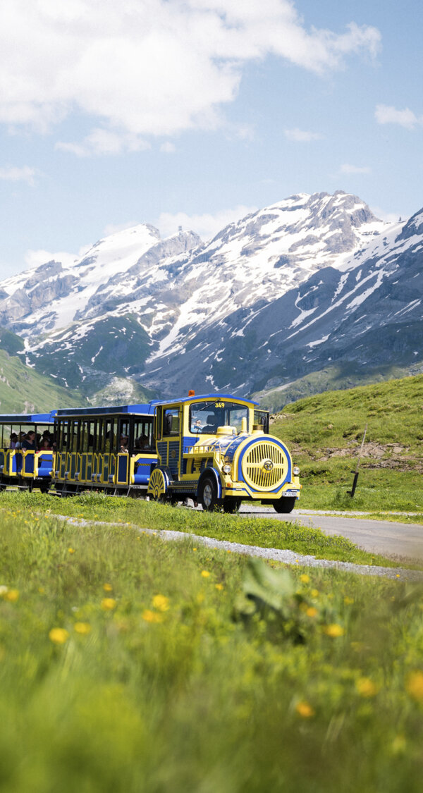Frutt Planen Buchen Sommer Saisonkarte Fruttzug Intro