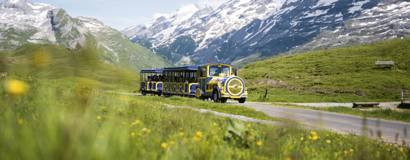 Frutt Planen Buchen Sommer Saisonkarte Fruttzug Hero