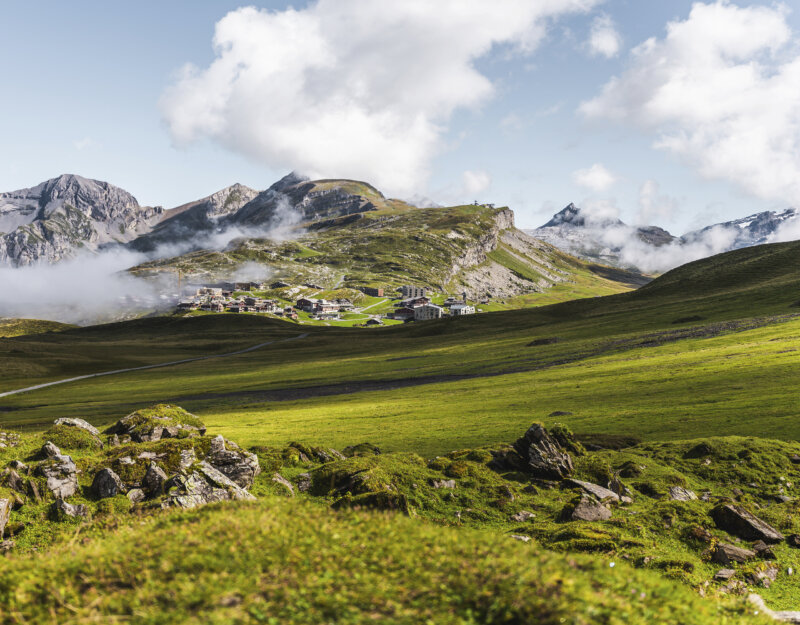 Frutt Planen Buchen Sommer Hero 2560x2000