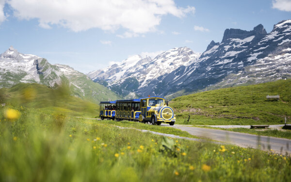 Frutt Planen Buchen Sommer Tarife Themen