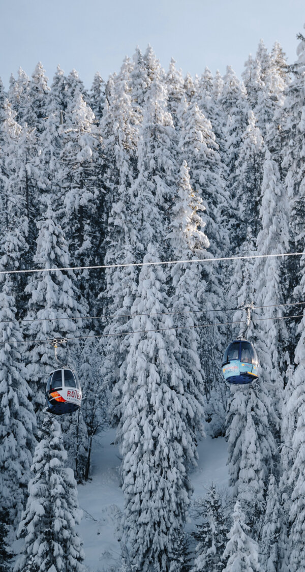 Frutt Planen Buchen Winter Saisonkarte Intro