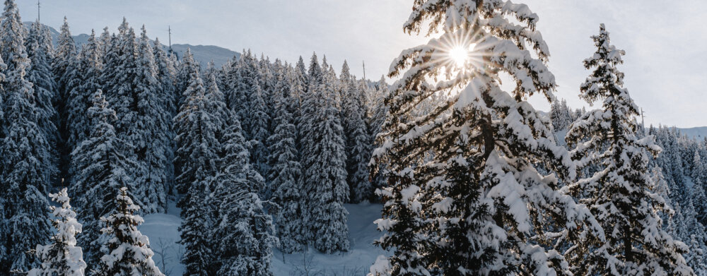 Frutt Planen Buchen Winter Einzel Retourfahrten Hero