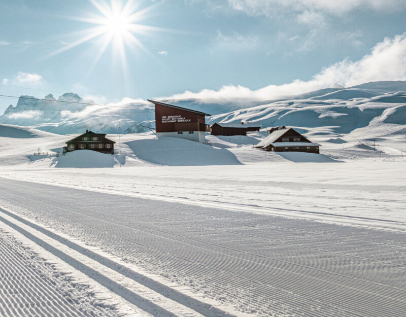 Frutt Planen Buchen Winter Hero